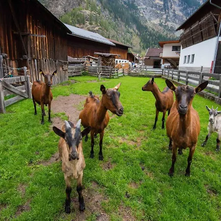 In Huben Near Slopes Appartamento